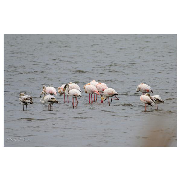 PHOTO84, CLUB, 84 , LUBERON